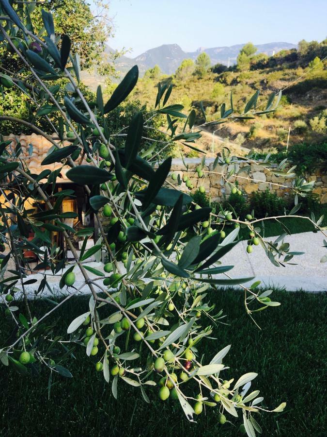 B&B Normanna Dolceacqua Bagian luar foto